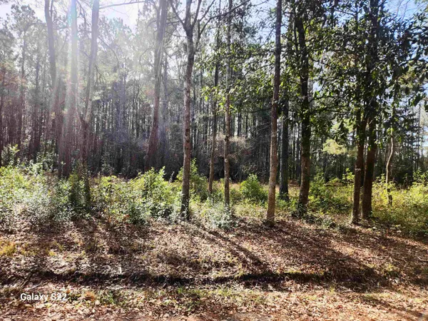 $599,000 | Tbd Franklin Street, Loris, SC 29569