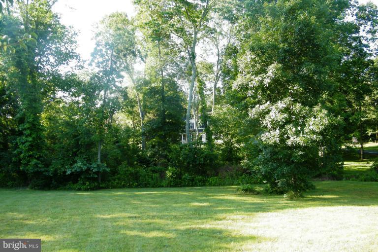 3885 Dumfries Road Catlett, VA 20119 - Photo 13 of 29 View of Yard Leading to Home
