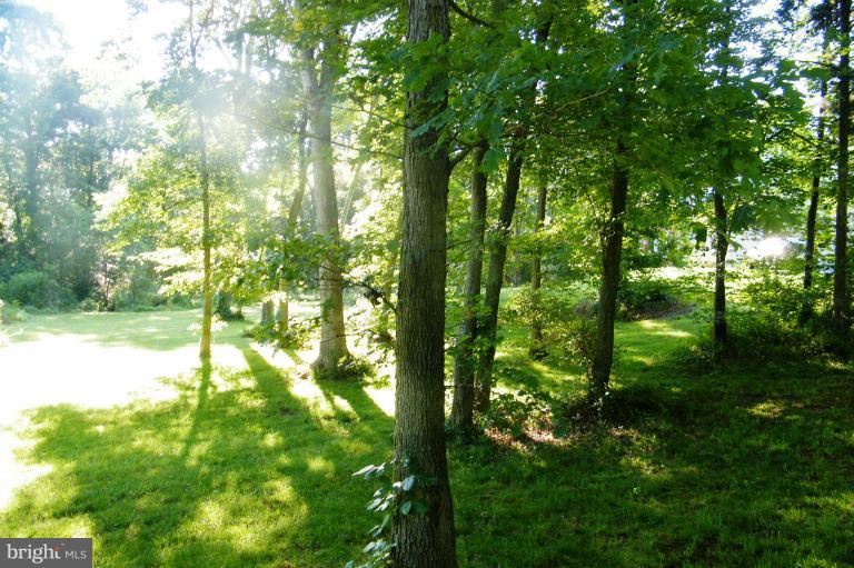 3885 Dumfries Road Catlett, VA 20119 - Photo 21 of 29 View of Open Field