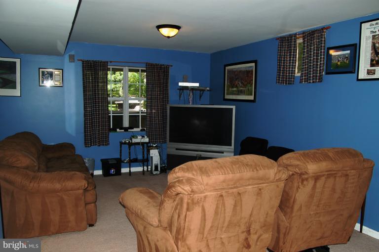 3885 Dumfries Road Catlett, VA 20119 - Photo 23 of 29 Finished Recreation Room with Full Bathroom