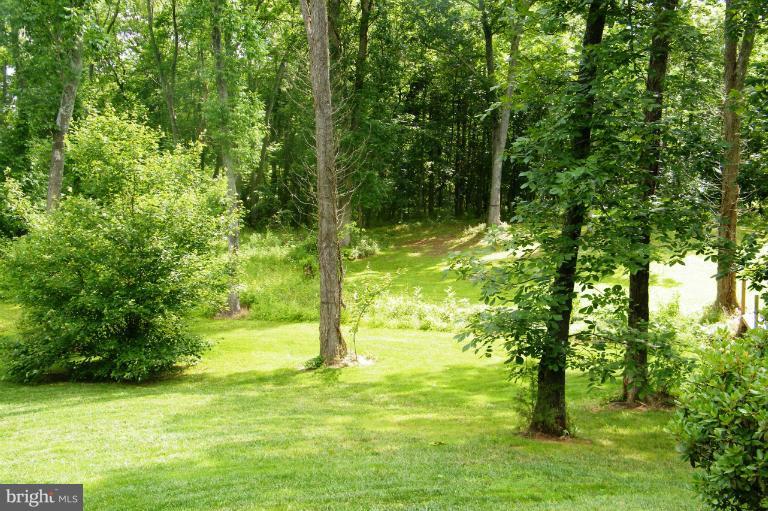 3885 Dumfries Road Catlett, VA 20119 - Photo 8 of 29 Pathways to Wooded Trails