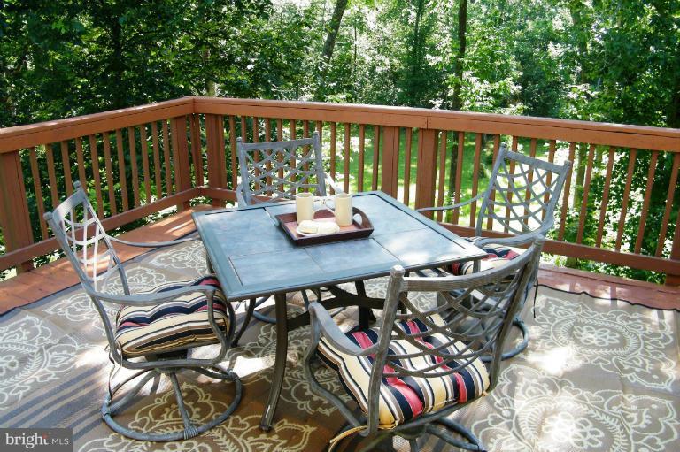 3885 Dumfries Road Catlett, VA 20119 - Photo 9 of 29 Deck off of Master Bedroom