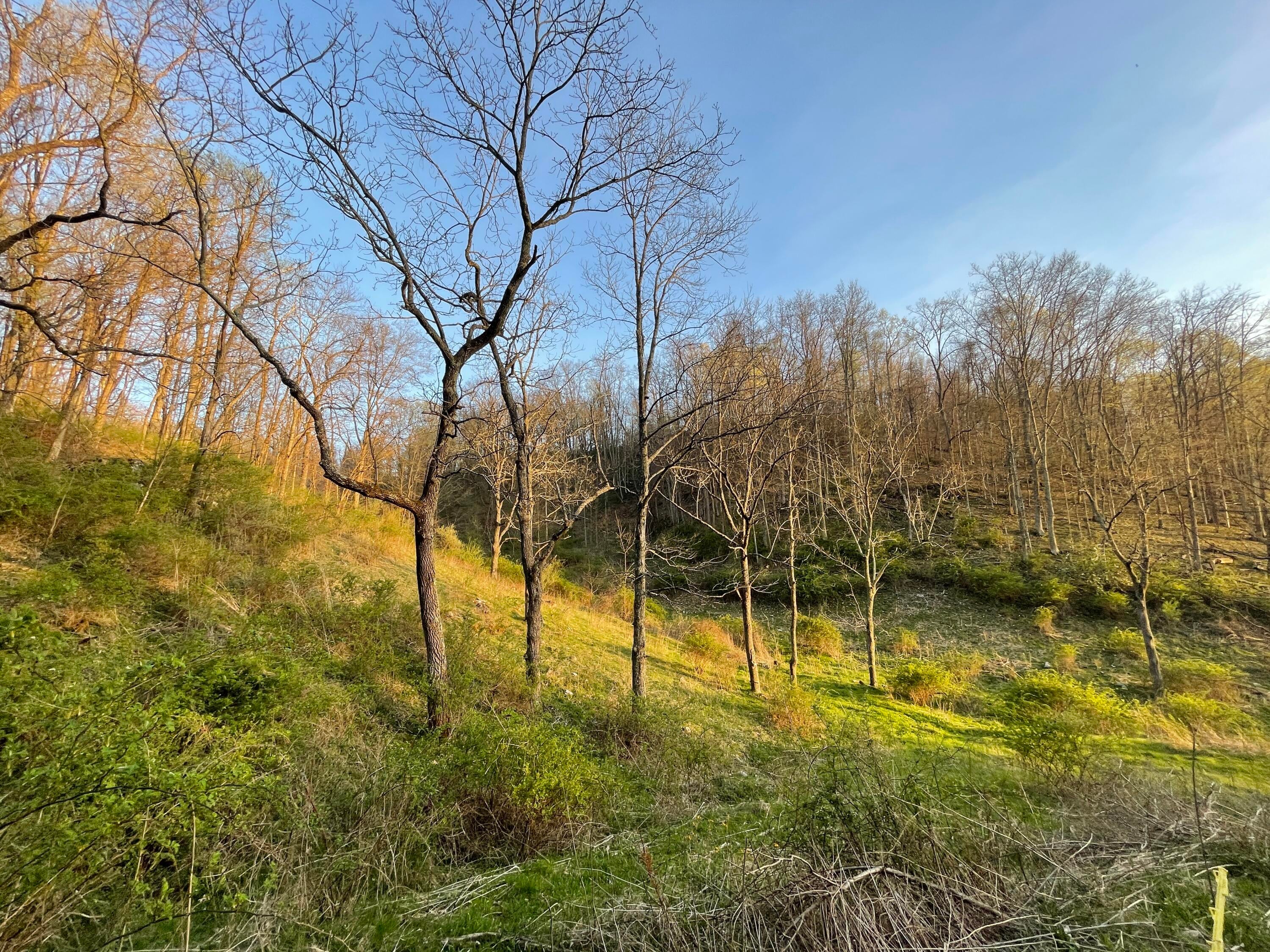 1340 Old Renick Road Renick, WV 24966 - Photo 43 of 53 Gallery Image 43