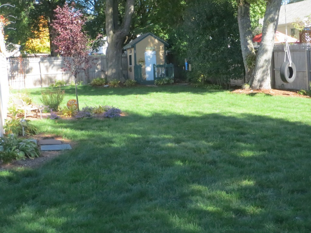 84 Genesee Street Lawrence, MA 01843 - Photo 24 of 30 a view of a yard with a house and a tree in the background
