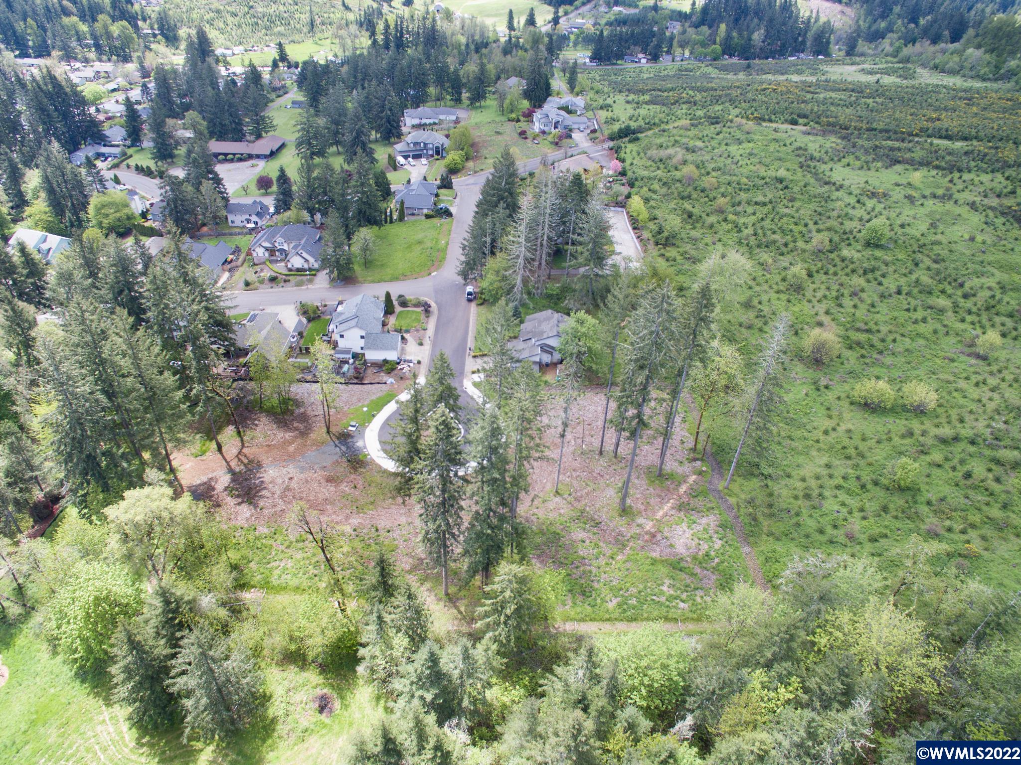 1498 Strawberry Ridge Sweet Home, OR 97386 - Photo 20 of 22