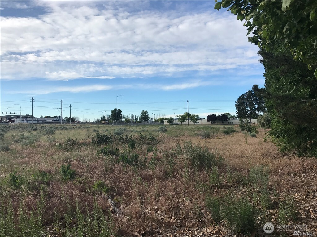 0 Nelson Moses Lake Moses Lake, WA 98837 - Photo 21 of 24 a view of a bunch of trees in a field