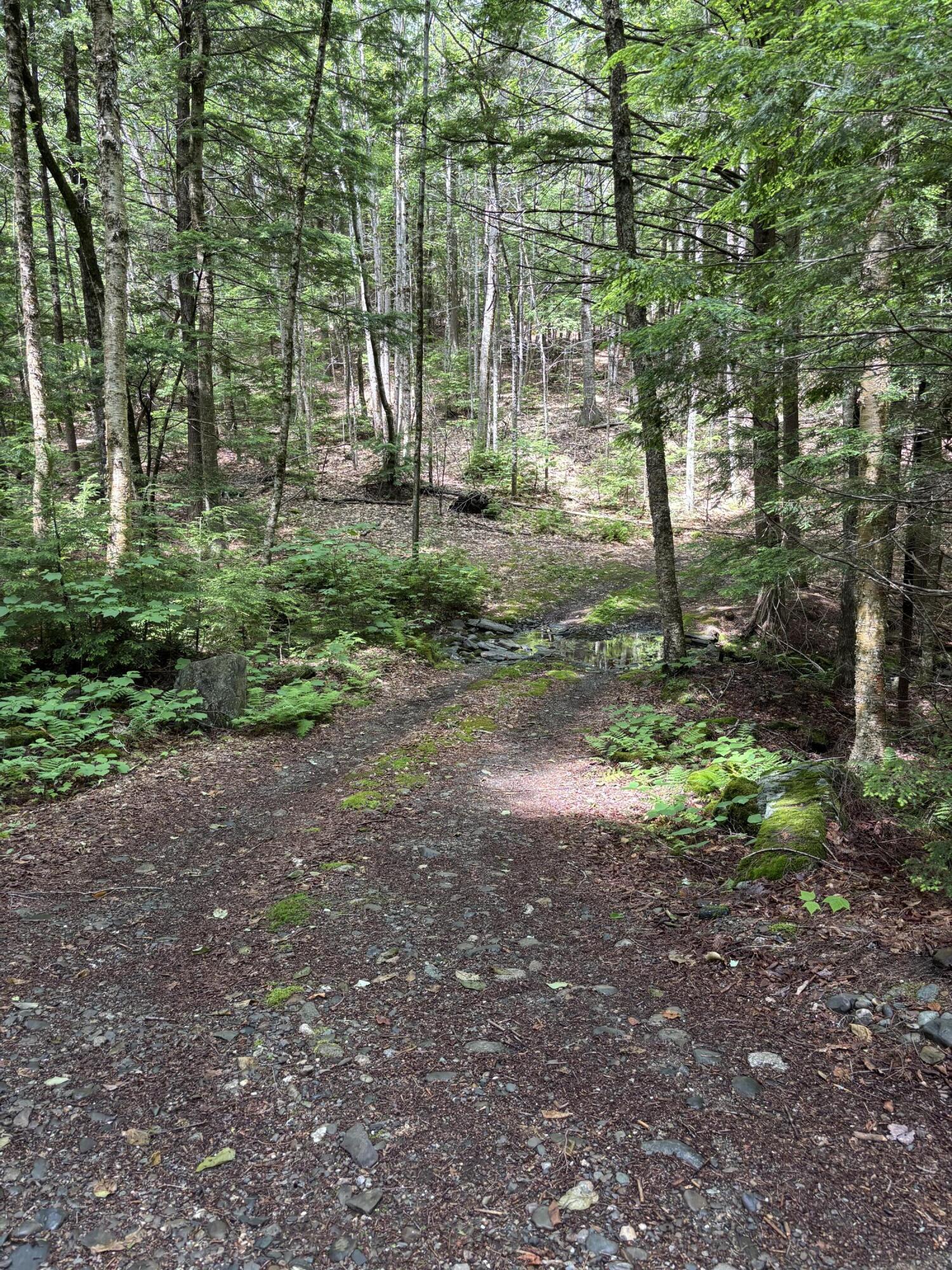 0 Brown Road Liberty, ME 04949 - Photo 2 of 8 IMG_4210