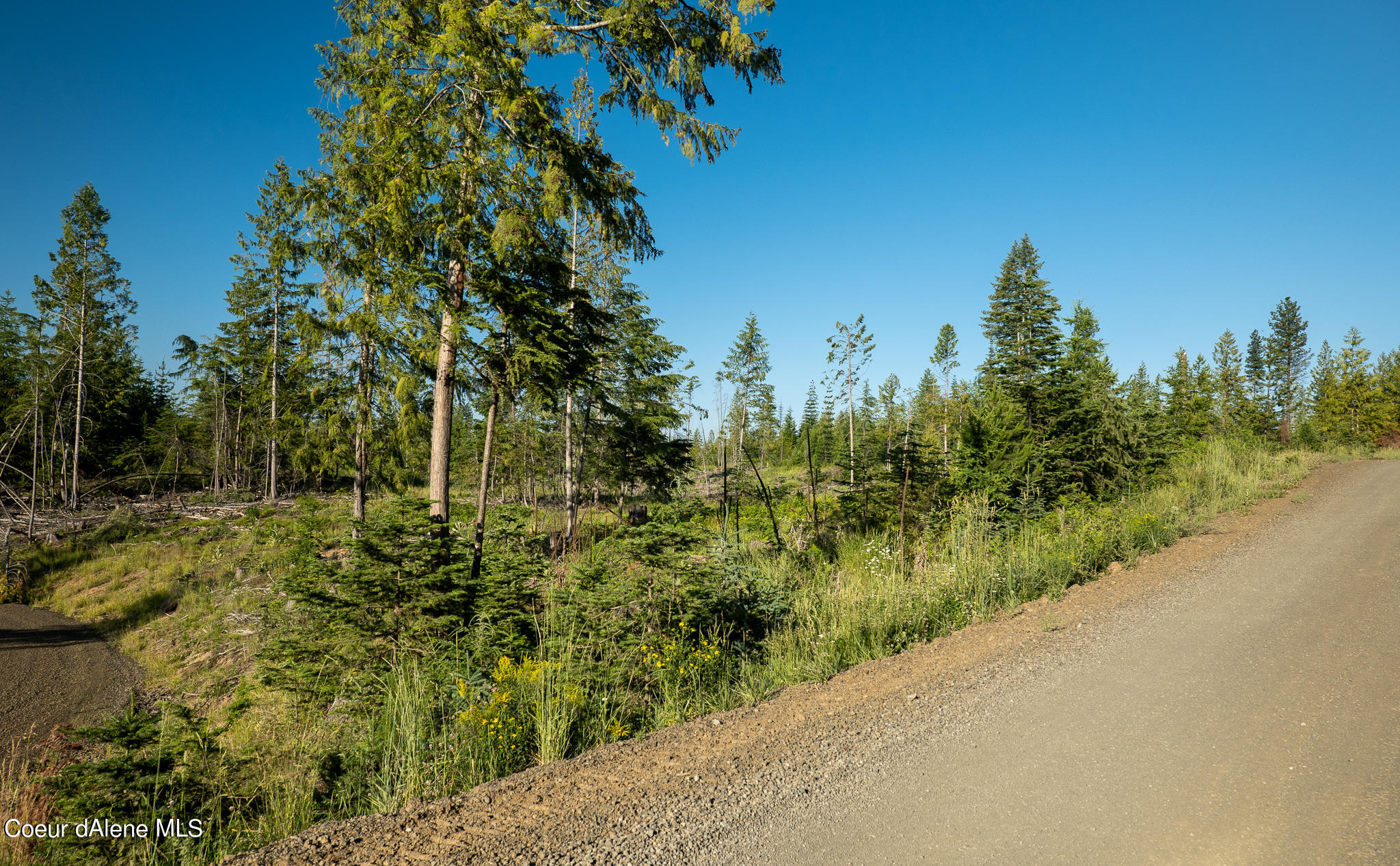 Lot 4 Sportsman Rd Street St. Maries, ID 83861 - Photo 1 of 1 P1007440