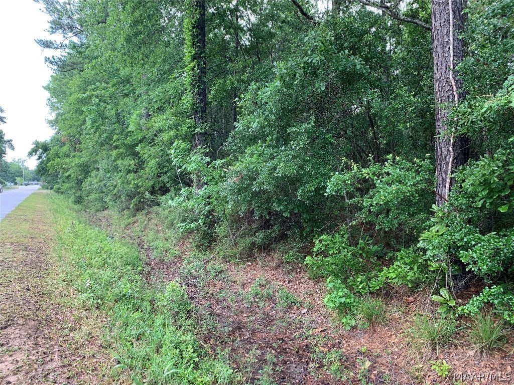 2.95-acres Twin Rivers Street Geneva, AL 36340 - Photo 1 of 4 Gallery Image 1