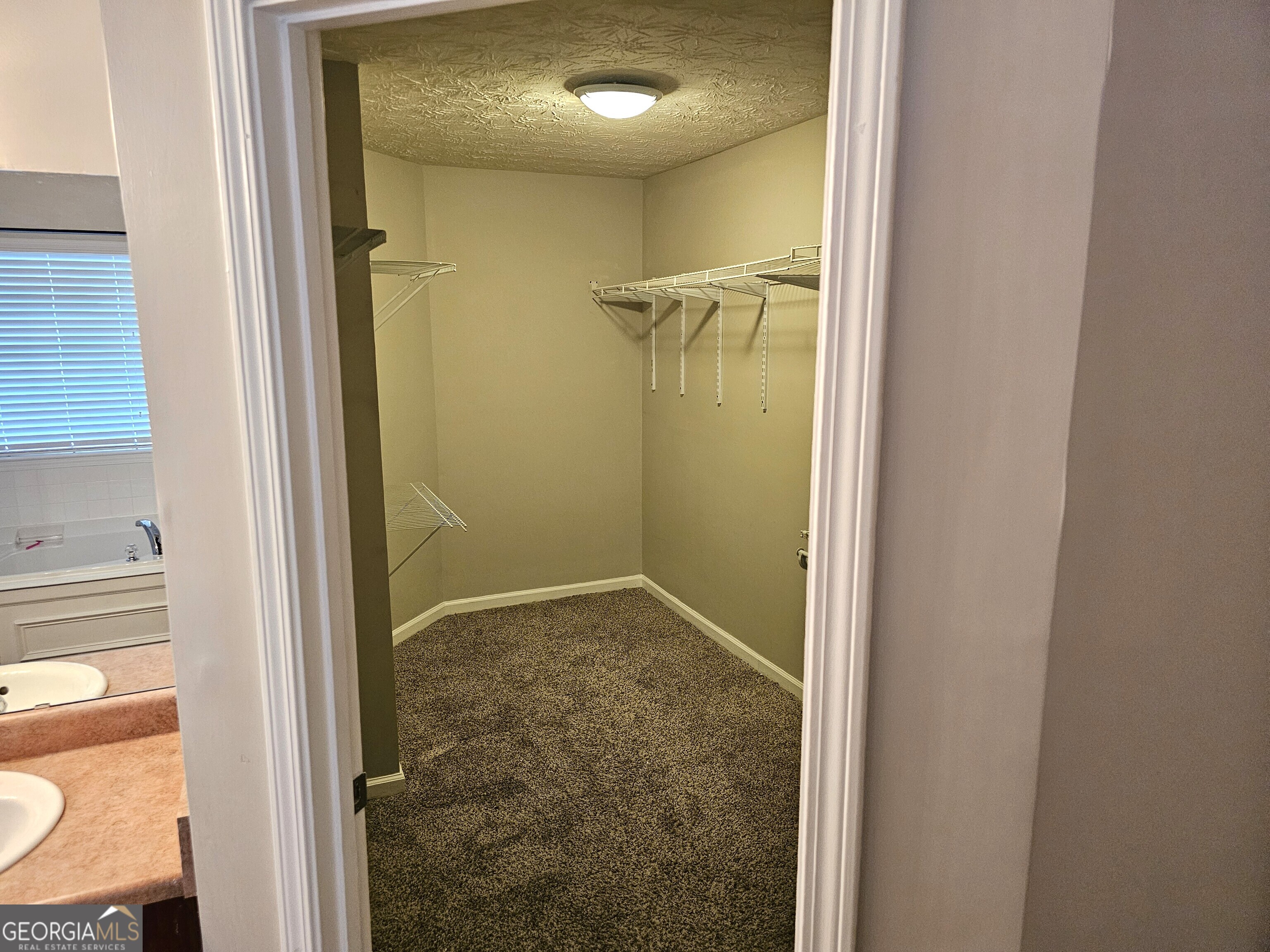 11223 Genova Terrace Hampton, GA 30228 - Photo 18 of 26