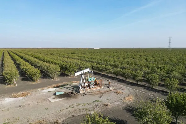 a view of a beach with a ocean view