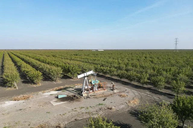 a view of a beach with a ocean view