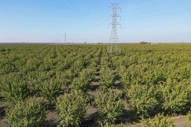 a view of a field with an ocean