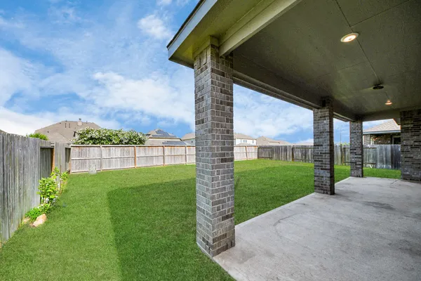 a view of a backyard with plants and a garden