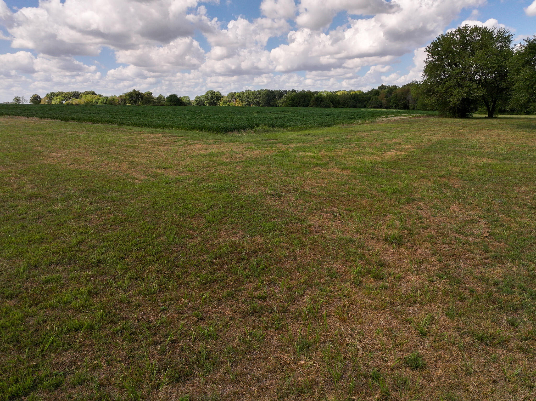 672 Southwest 15th Road Liberal, MO 64762 - Photo 25 of 85 DJI_20260912031612_0761_D