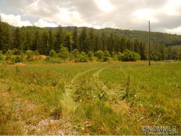 0 Lake Logan Road Waynesville, NC 28786 - Photo 1 of 21 Gallery Image 1