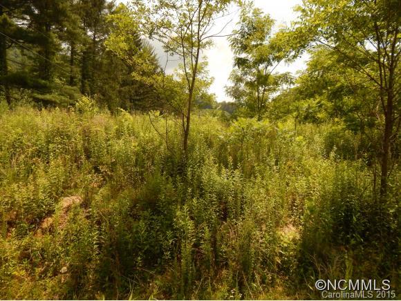 0 Lake Logan Road Waynesville, NC 28786 - Photo 12 of 21 Gallery Image 12