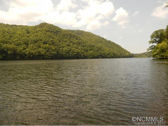0 Lake Logan Road Waynesville, NC 28786 - Photo 14 of 21 Gallery Image 14