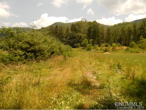 0 Lake Logan Road Waynesville, NC 28786 - Photo 4 of 21 Gallery Image 4