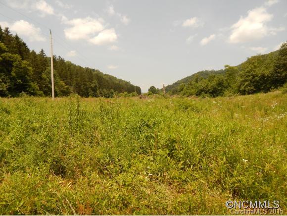 0 Lake Logan Road Waynesville, NC 28786 - Photo 6 of 21 Gallery Image 6