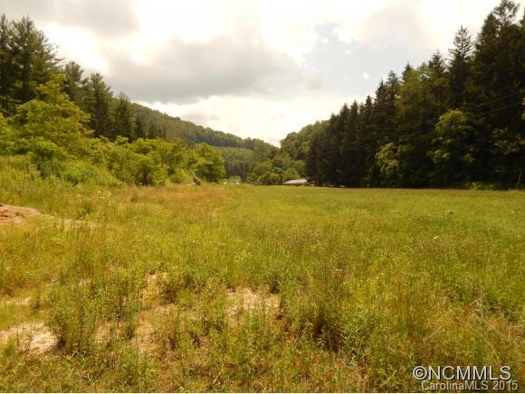 0 Lake Logan Road Waynesville, NC 28786 - Photo 7 of 21 Gallery Image 7
