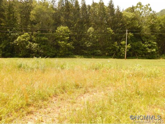 0 Lake Logan Road Waynesville, NC 28786 - Photo 8 of 21 Gallery Image 8
