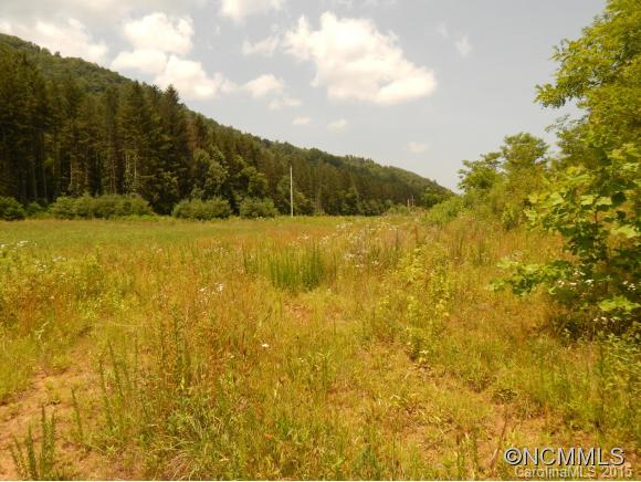 0 Lake Logan Road Waynesville, NC 28786 - Photo 9 of 21 Gallery Image 9