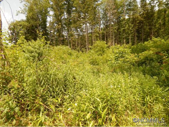 0 Lake Logan Road Waynesville, NC 28786 - Photo 10 of 21 Gallery Image 10