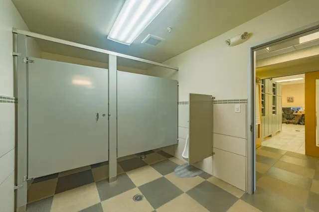 a bathroom with a sink and a shower