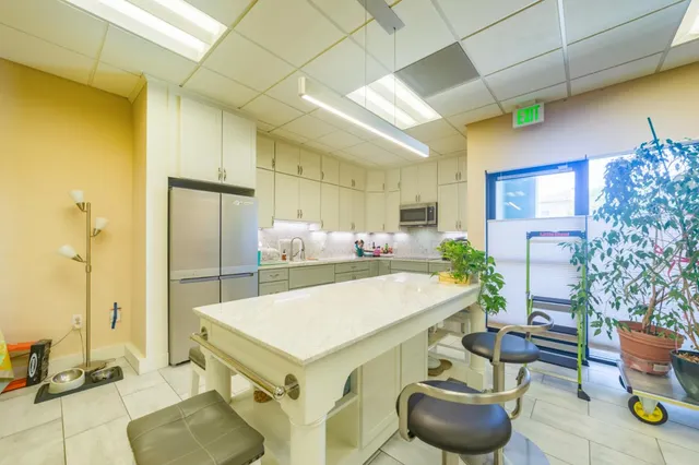 a view of a livingroom with furniture and a potted plant