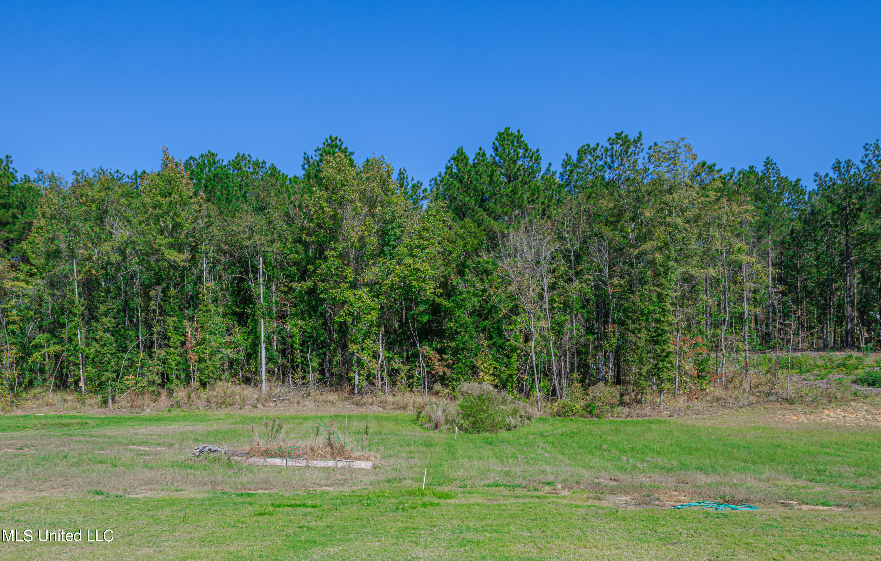 1614 Old Lake Road Brandon, MS 39042 - Photo 56 of 58 1R4A5010-Enhanced-NR