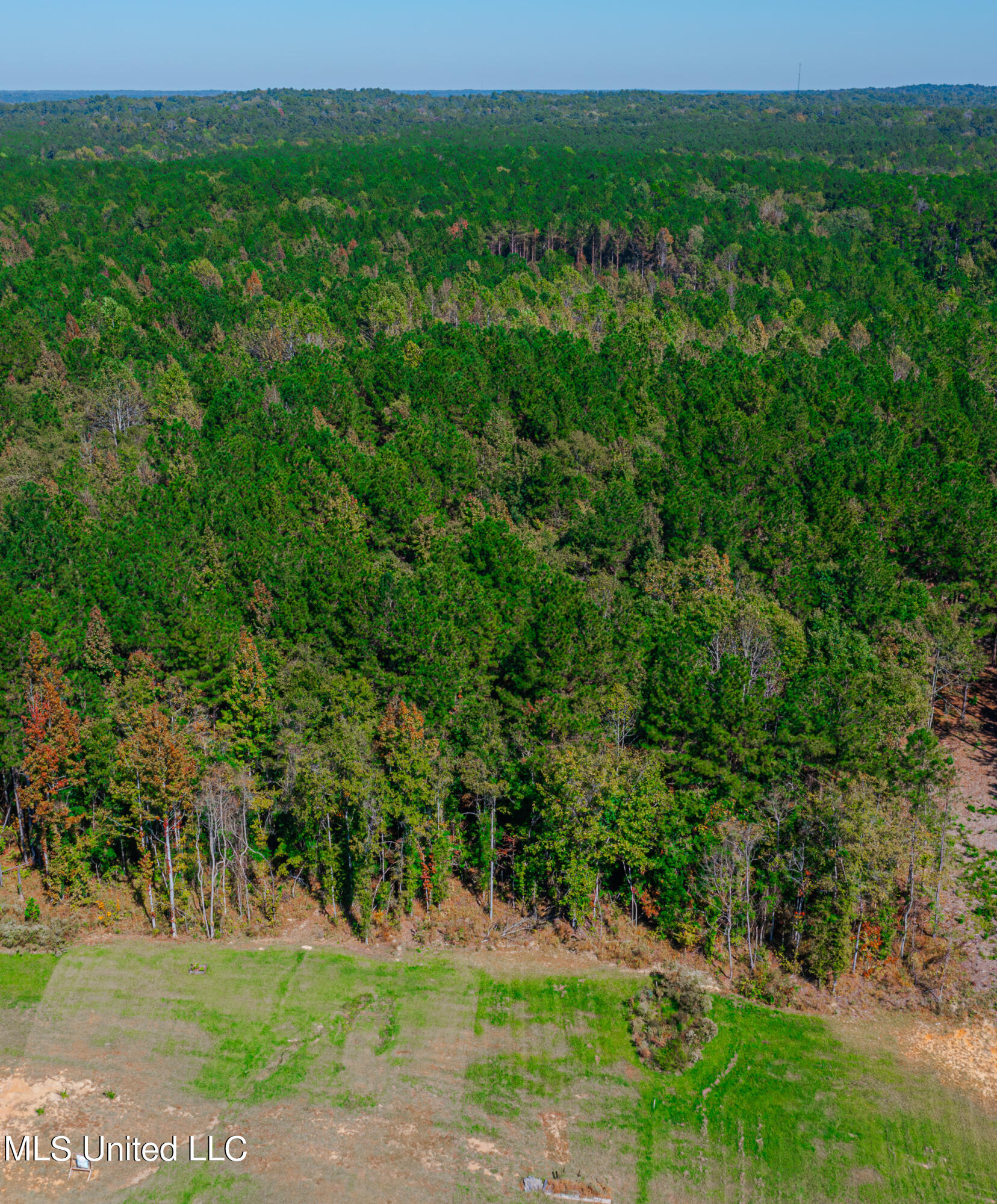 1614 Old Lake Road Brandon, MS 39042 - Photo 57 of 58 DJI_0345-Enhanced-NR
