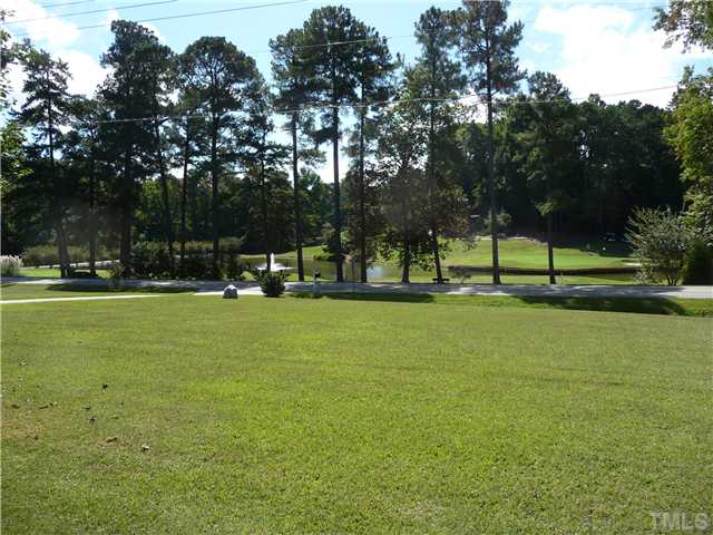 9916 Baileywick Road Raleigh, NC 27613 - Photo 3 of 25 a view of a park with tree s