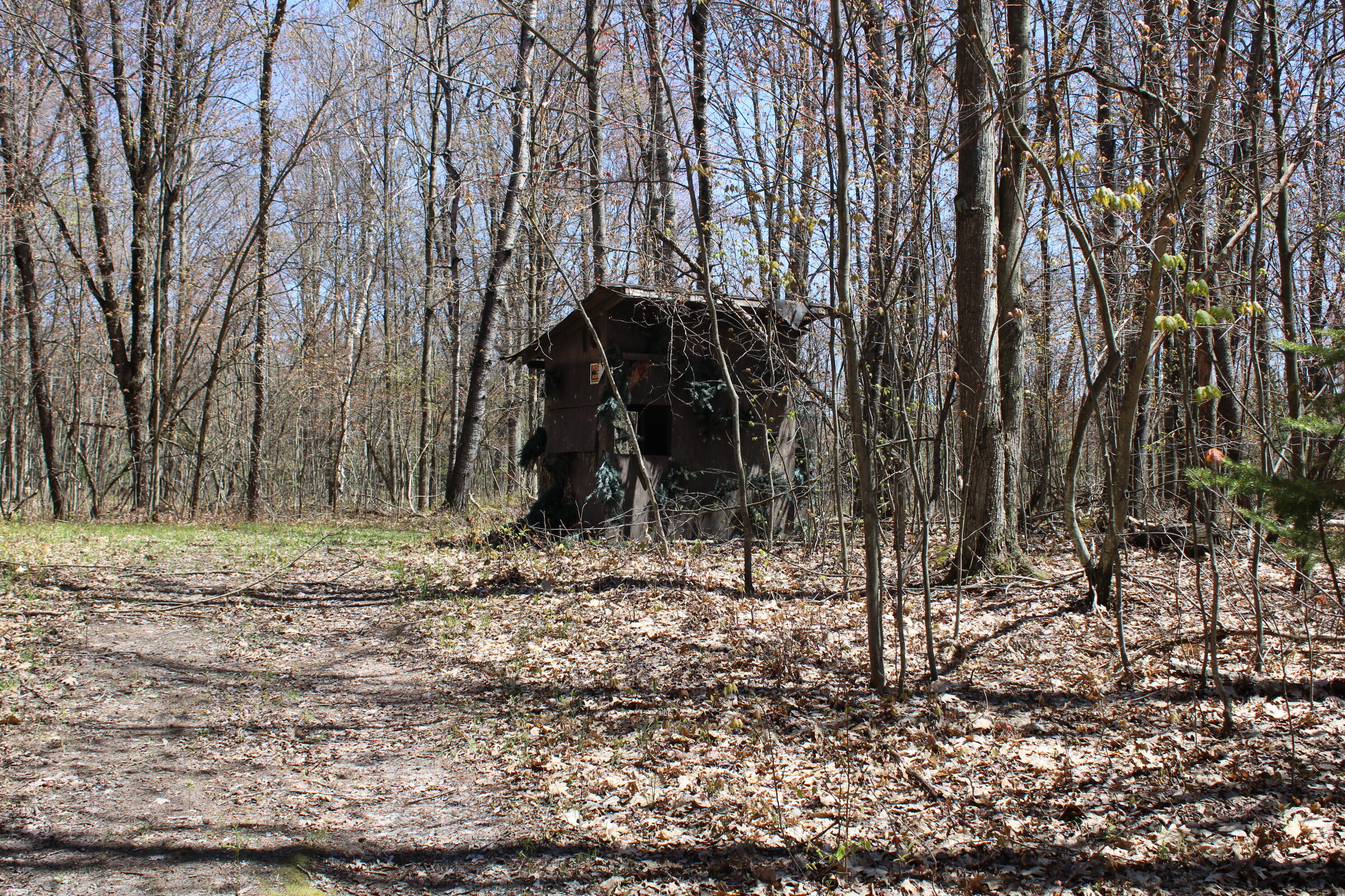 11401 Little George Lake Road Gladwin, MI 48624 - Photo 66 of 105 IMG_5907