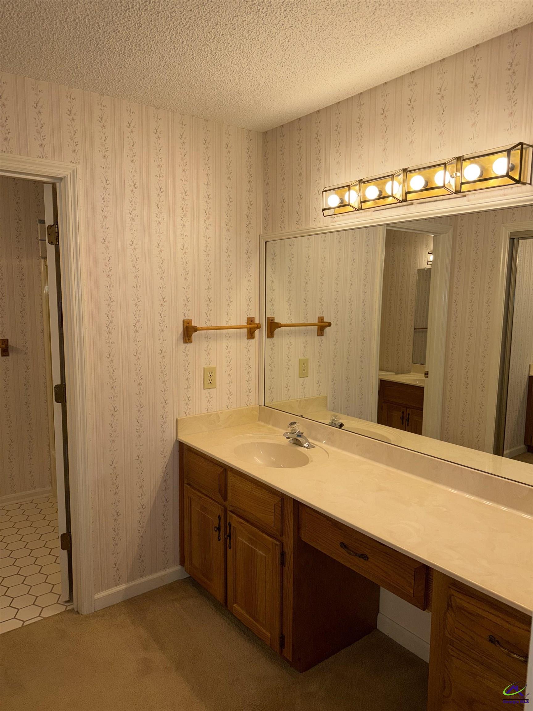 249 Hatcher Road Warner Robins, GA 31088 - Photo 17 of 25 a bathroom with a sink and a mirror
