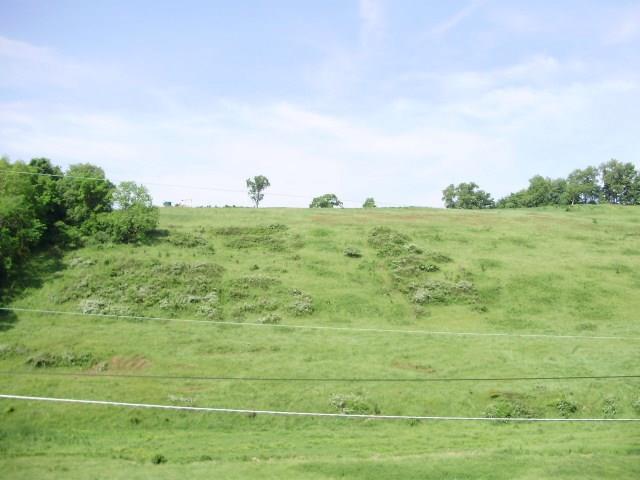 54 Grange Road Coal Center, PA 15423 - Photo 14 of 23 view from front porch
