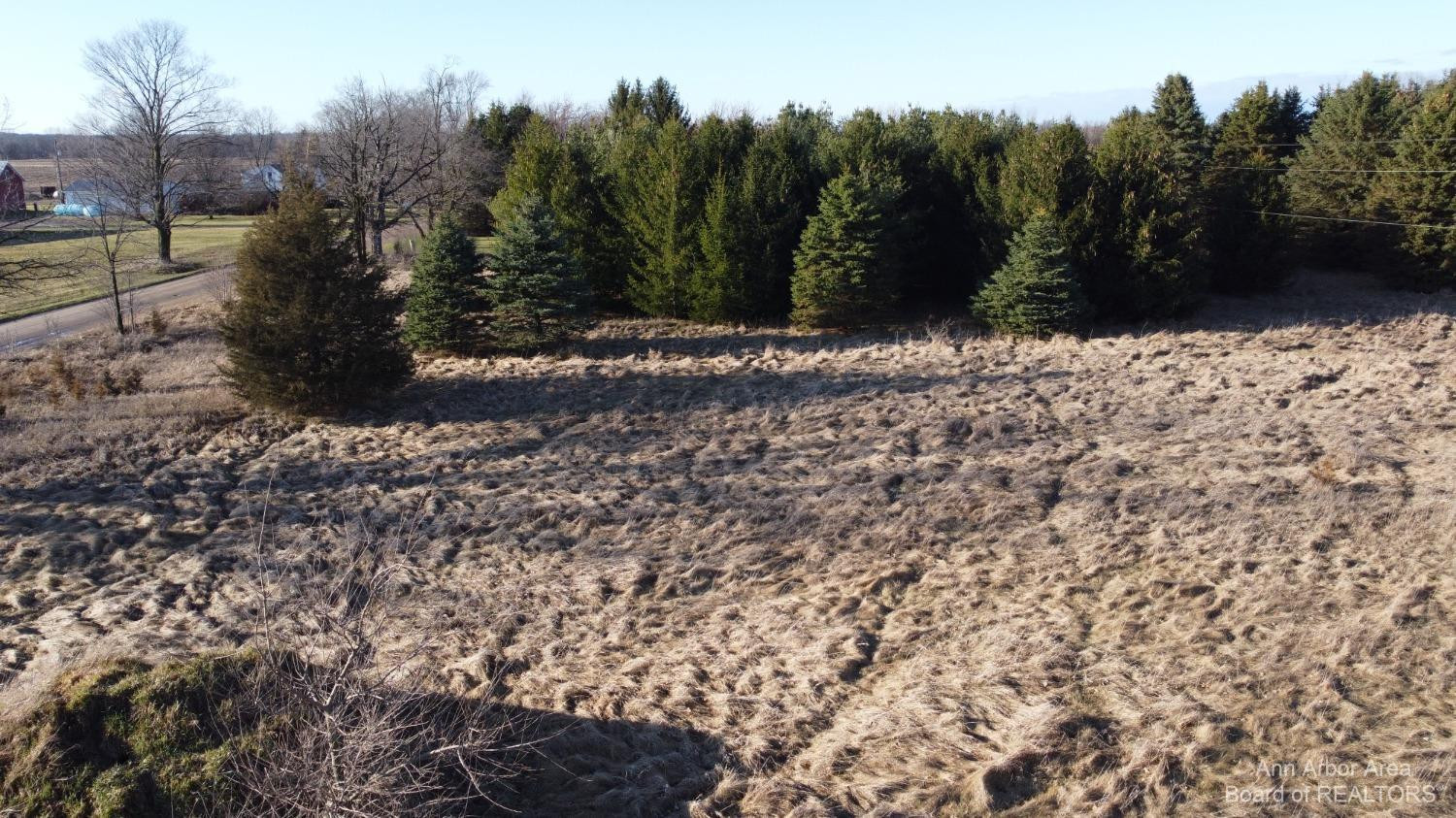 0 Lamb Road Manchester, MI 48158 - Photo 3 of 28 Photo 3