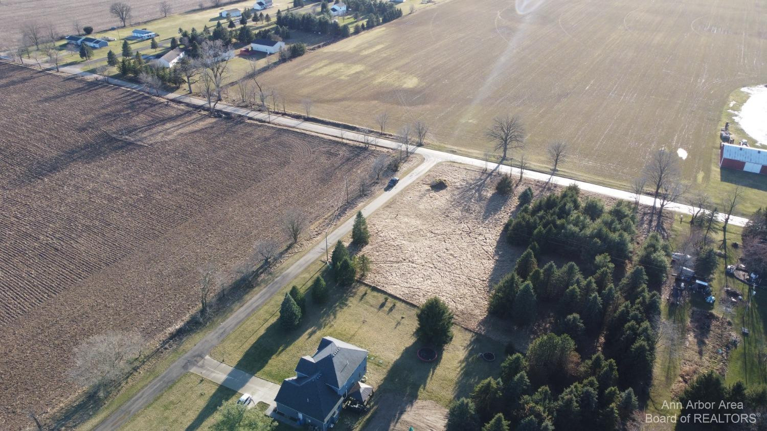 0 Lamb Road Manchester, MI 48158 - Photo 10 of 28 Photo 10