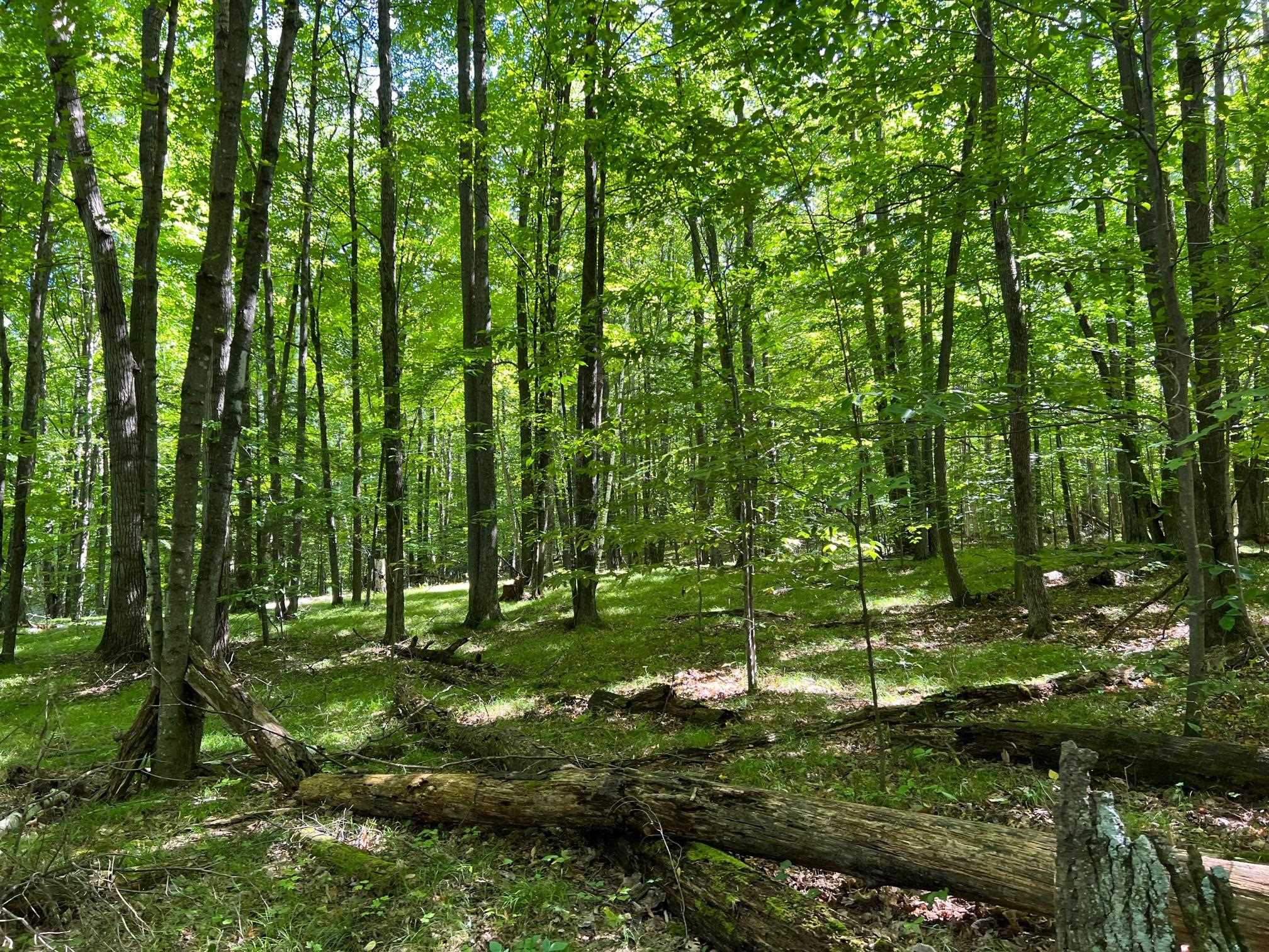 9459 Lee Lake Road Pound, WI 54161 - Photo 1 of 1 Gallery Image 1