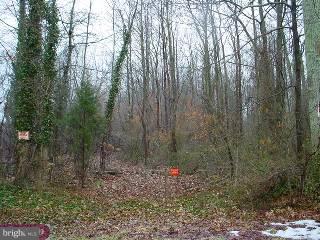 0 Island Road Monroeville, NJ 08343 - Photo 1 of 5