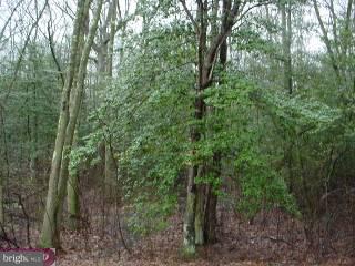 0 Island Road Monroeville, NJ 08343 - Photo 4 of 5