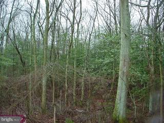 0 Island Road Monroeville, NJ 08343 - Photo 5 of 5