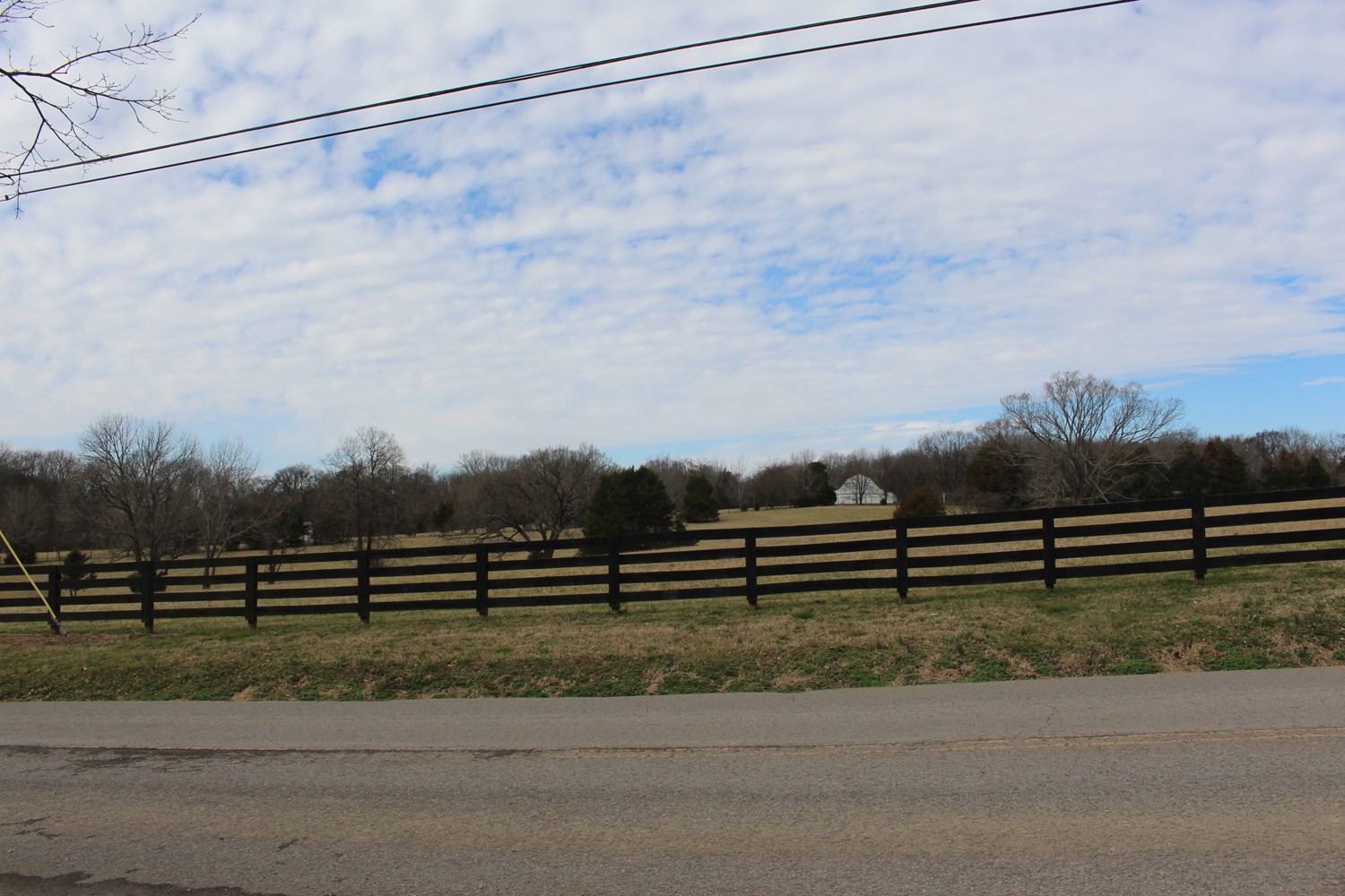 1064 Tulloss Road Franklin, TN 37067 - Photo 14 of 17 a view of a yard