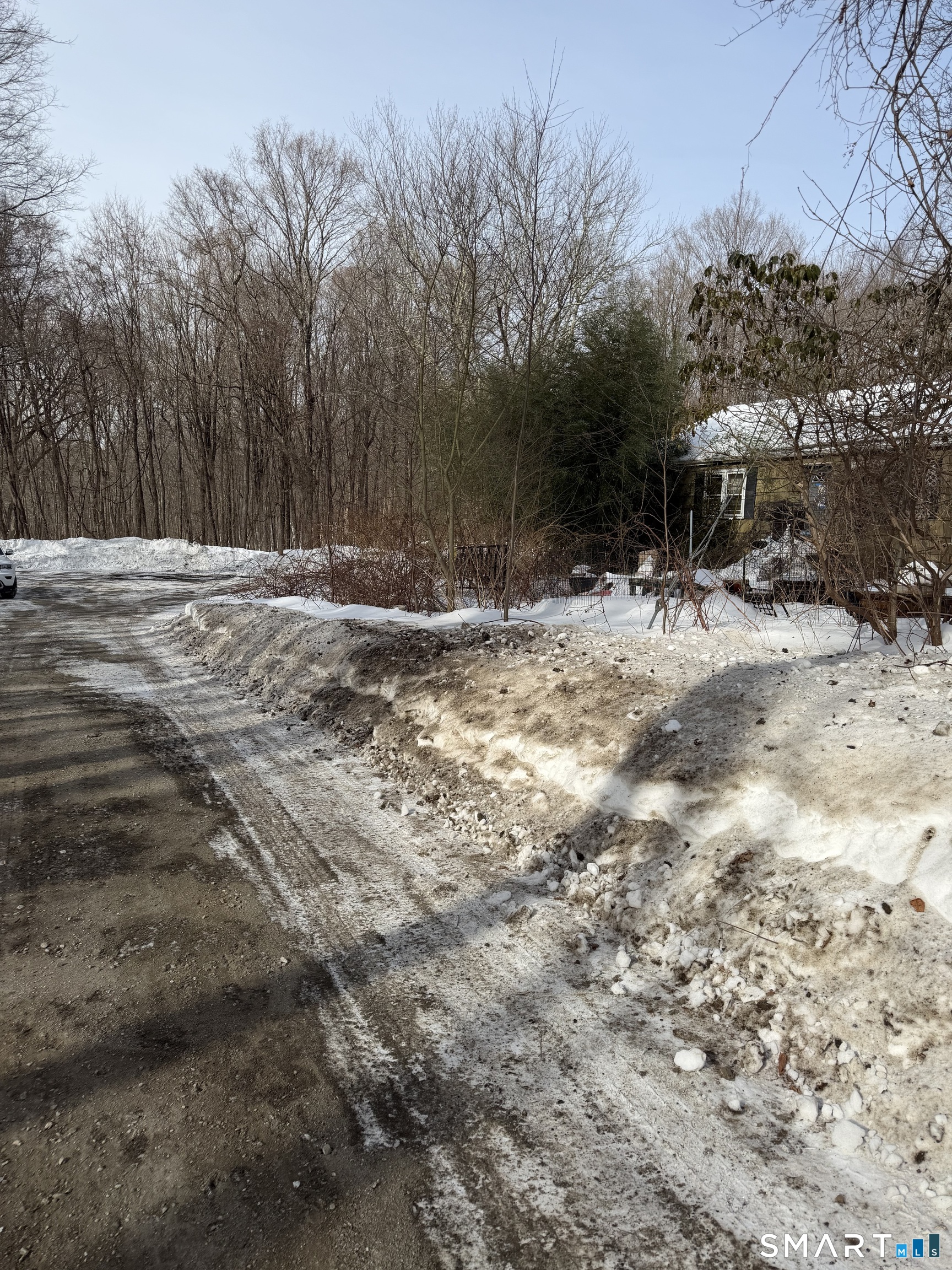 a view of a backyard with large trees