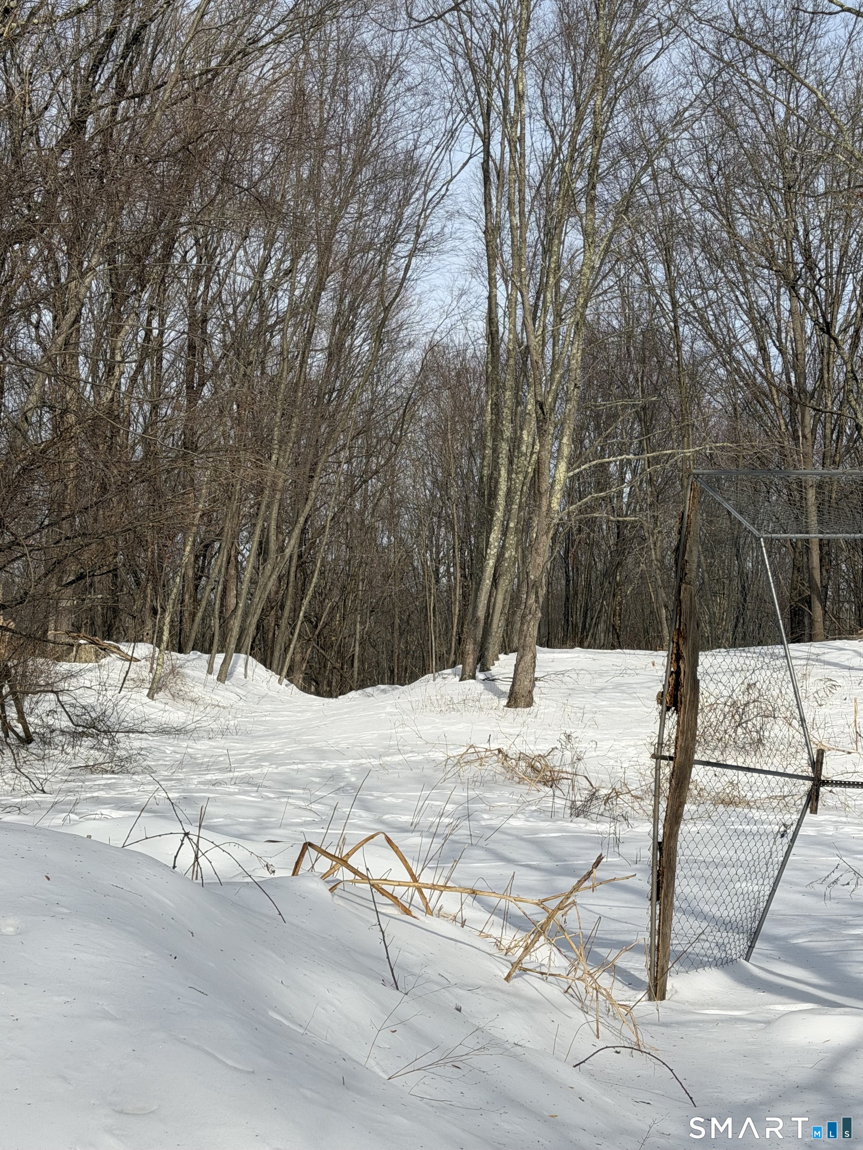 40 Towns End Road Newtown, CT 06470 - Photo 5 of 5 a view of a backyard of the house