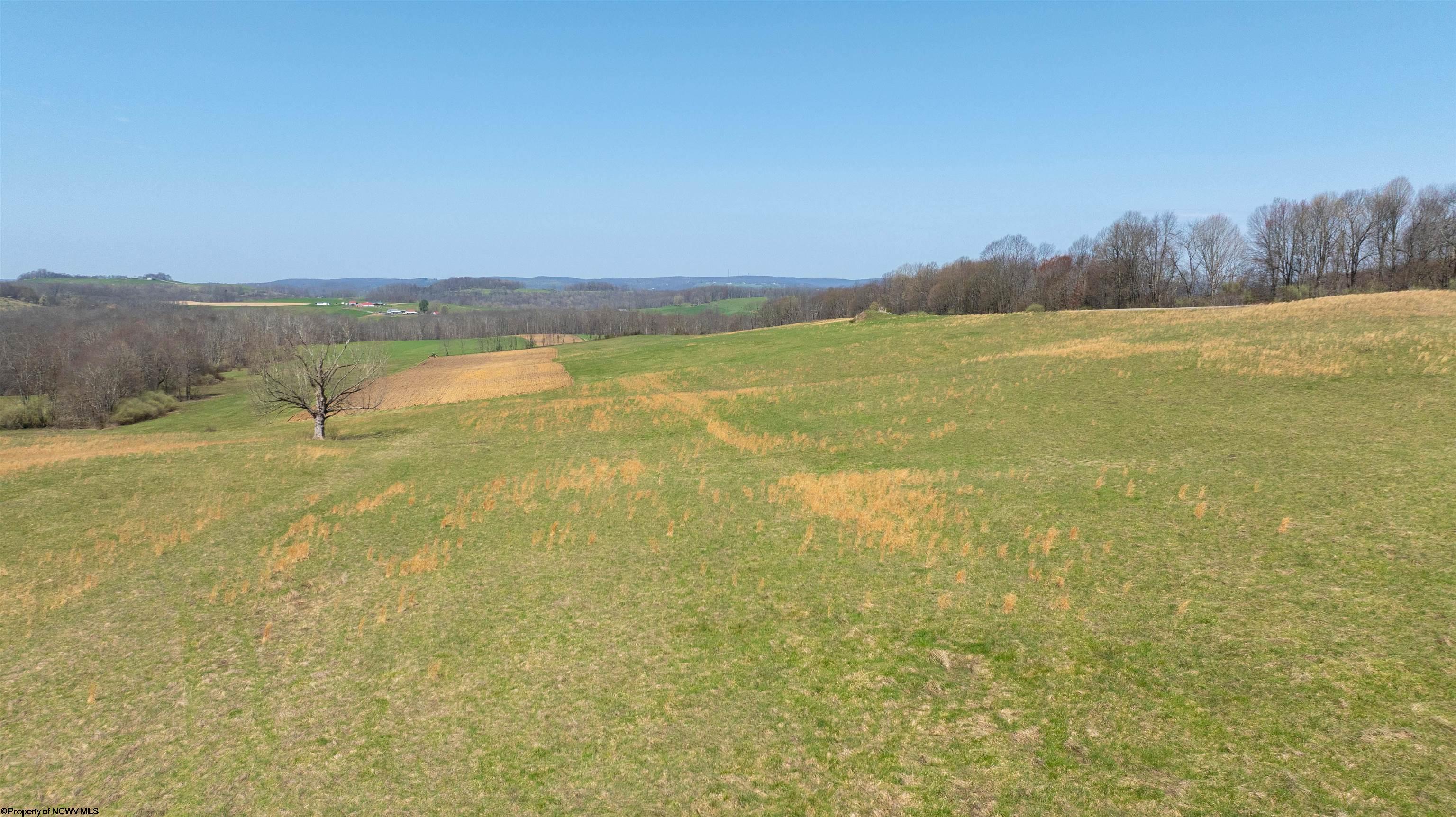 303 Hudson Mill Road Albright, WV 26519 - Photo 40 of 42 Gallery Image 40