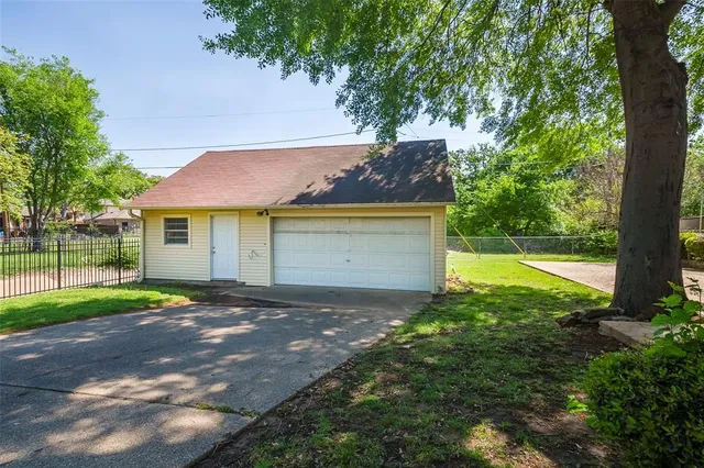 a view of a yard with plants and a tree