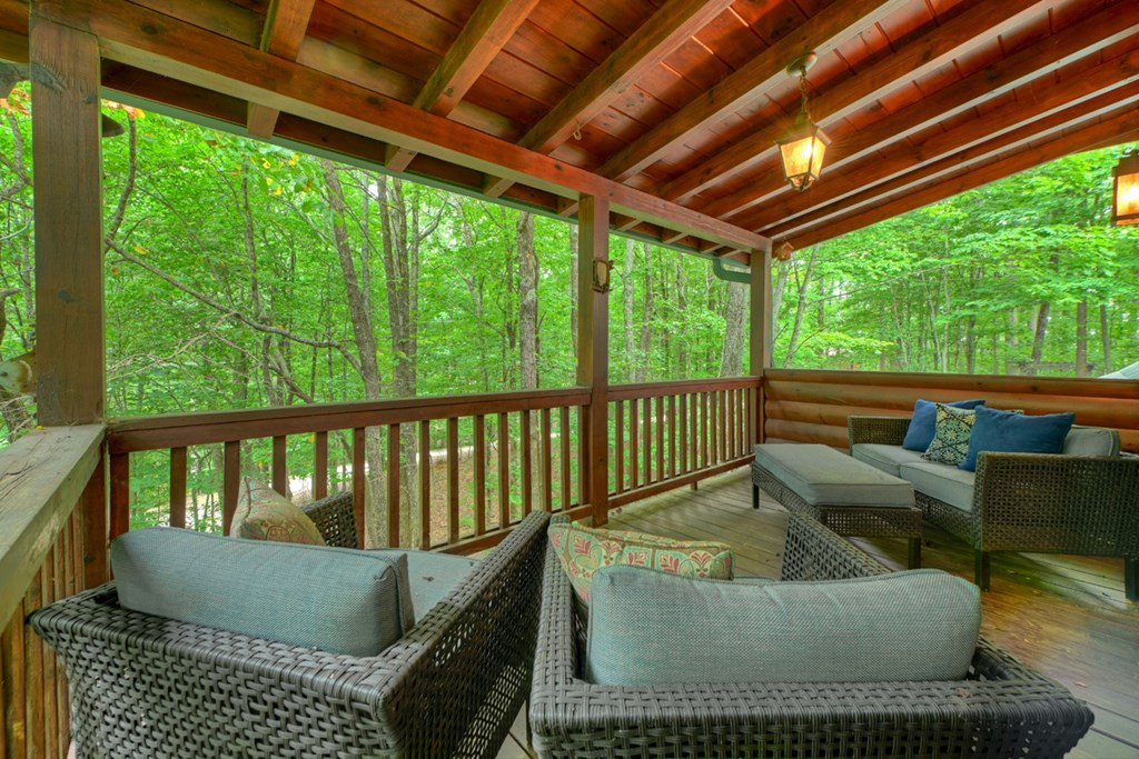 541 Little Bushy Head Road Blue Ridge, GA 30513 - Photo 39 of 45 Gallery Image 39
