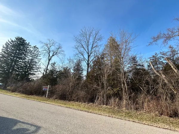 a view of a street with a trees in front of it