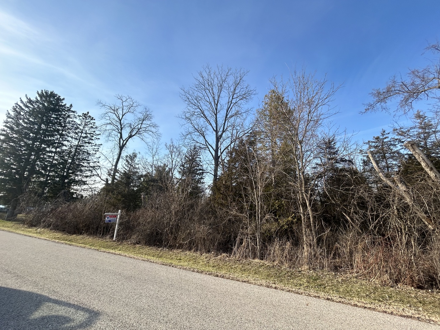 Lot 17-18 Harding Avenue Richmond, IL 60071 - Photo 3 of 9 a view of a street with a trees in front of it